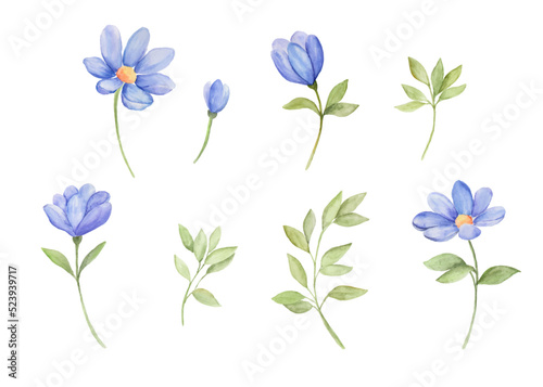 Isolated watercolor blue flower clipart collection.