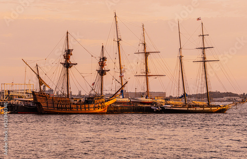 Maritime Museum with Historic ships
