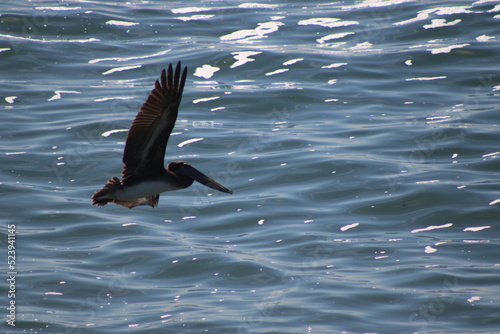 Flying over the water