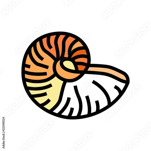 nautilus sea shell beach color icon vector illustration
