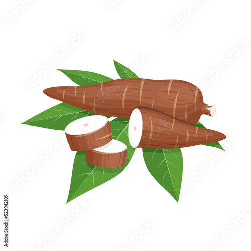Vector illustration, cassava root (Manihot esculenta, also known as manioc) and leaves, isolated on white background, as a banner, poster or national tapioca day template.