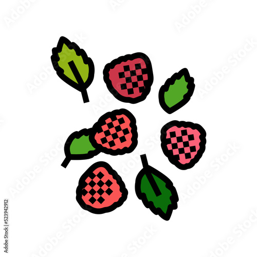 ripe raspberry berries color icon vector illustration