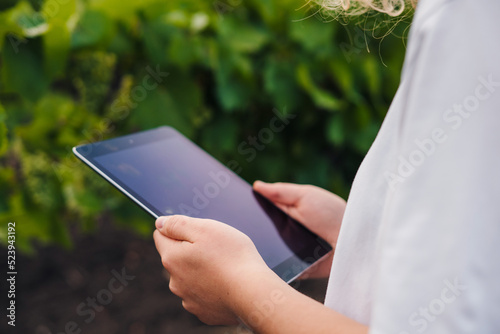 Close-up view of tablet held by female farmer, getting information on the tablet during harvest time in grape field. Smart farming and digital agriculture