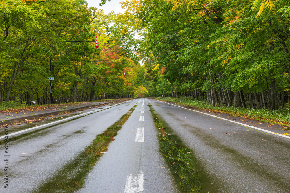 Fototapeta premium 足湯前の屈斜路摩周湖畔線「秋の北海道」