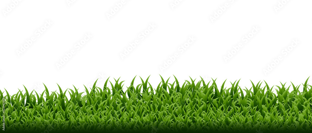 Green grass border set. Transparent background. Illustration Green grass border set. Transparent background. Illustration