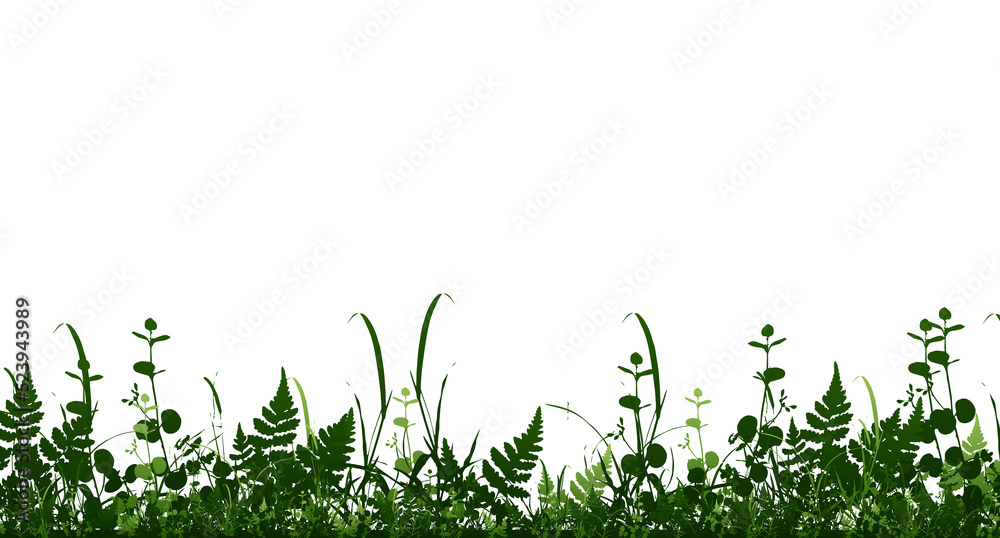 Bright green realistic seamless grass border isolated background. Transparent background. Illustration