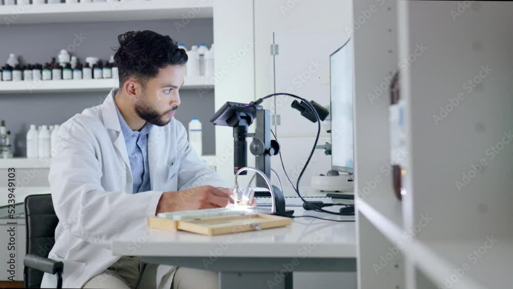 Scientist, doctor or clinical laboratory in a science lab busy conducting research and working on a dna test sample. Serious young male doctor doing a forensic experiment to develop a medical cure