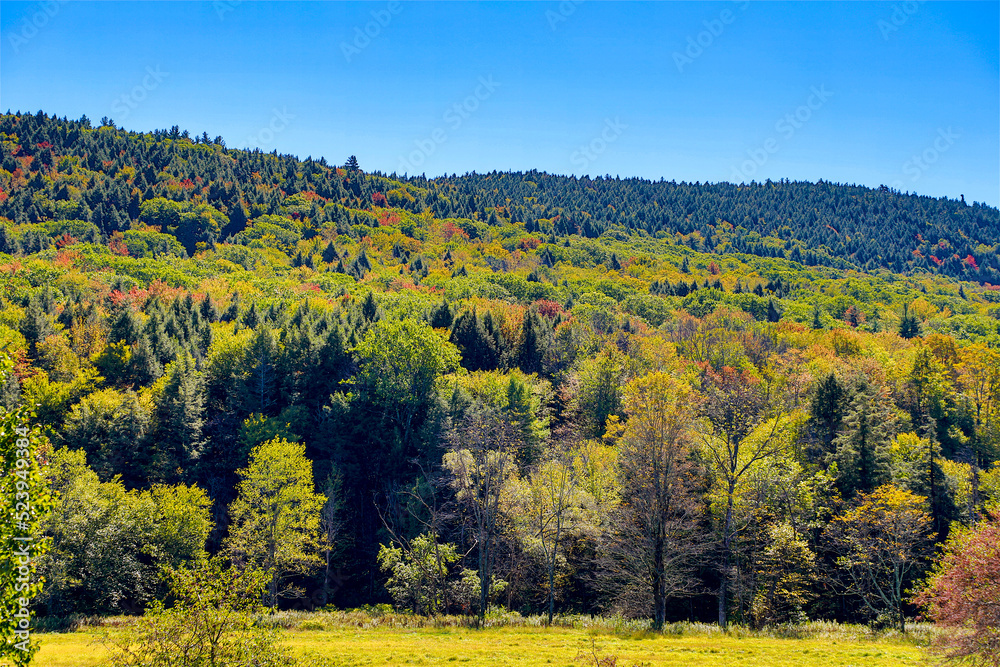 Vermont fall colors mountain scene