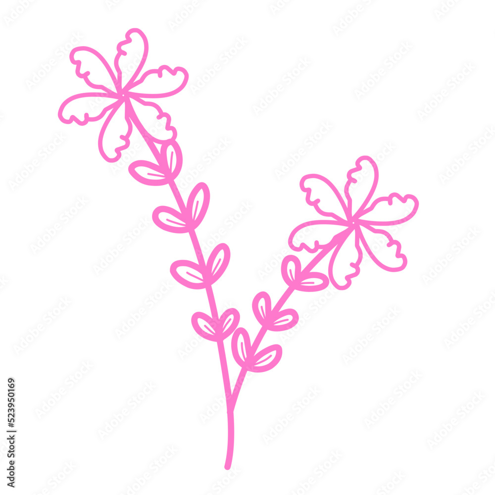 Obraz premium Pink flowers lineart