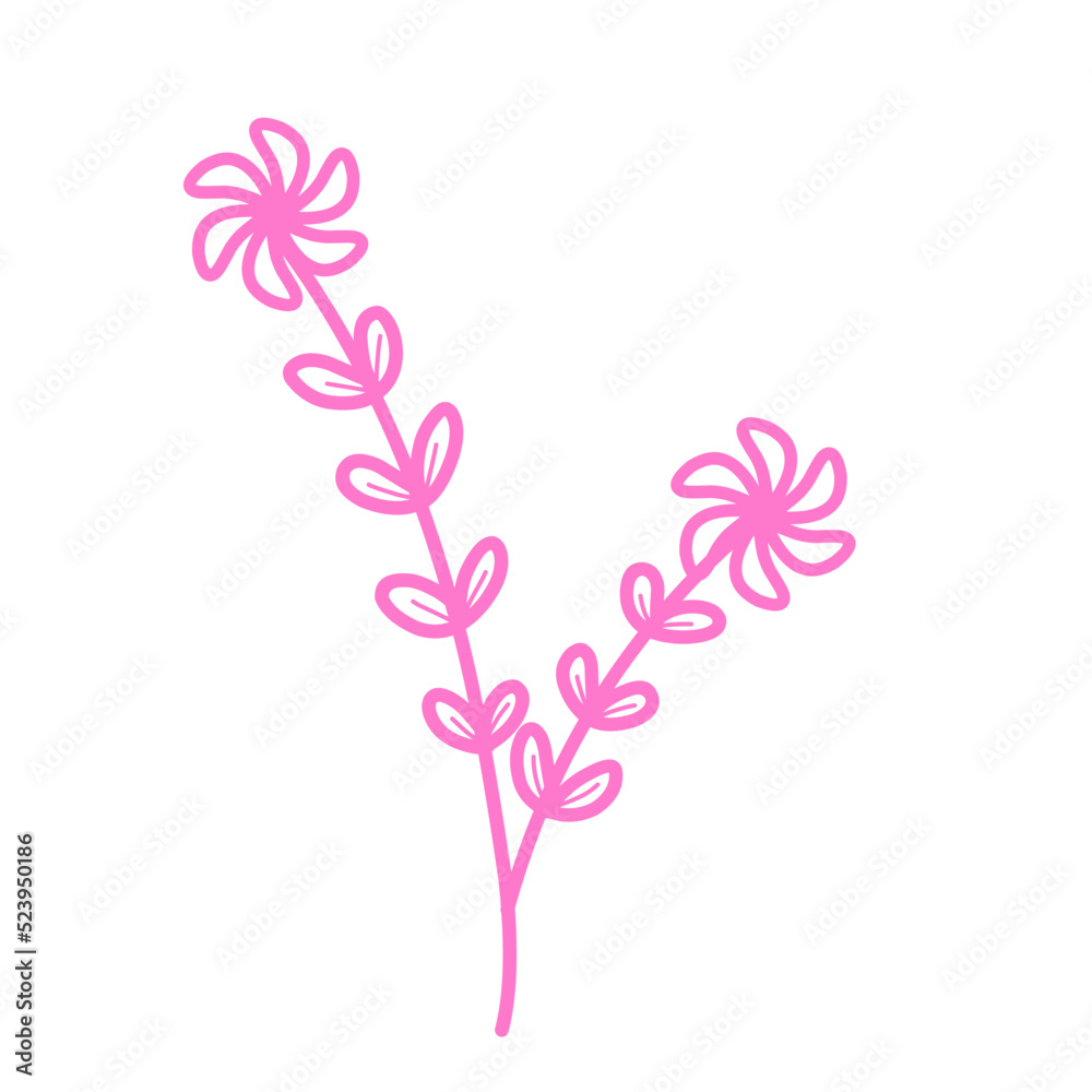 Pink flowers lineart