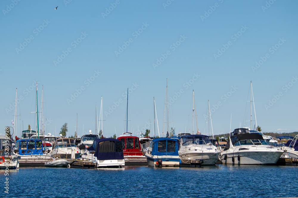A Group of Boats in a Marina