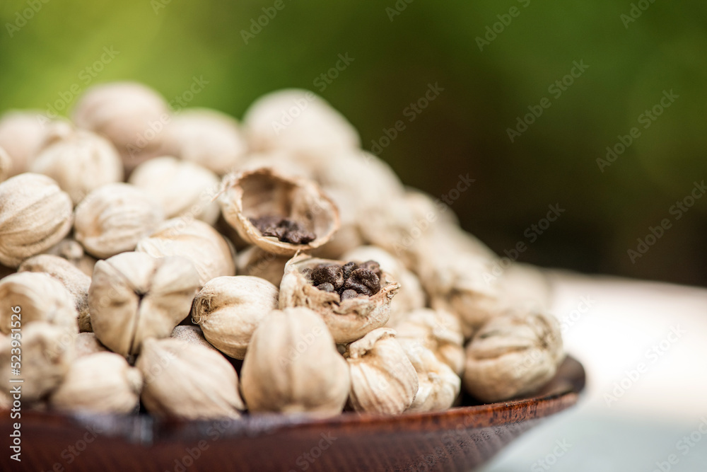 Best cardamom or siam cardamom fruits on naturte background. Best cardamom or siam cardamom fruits on naturte background.