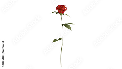 Fototapeta Naklejka Na Ścianę i Meble -  3D Roses