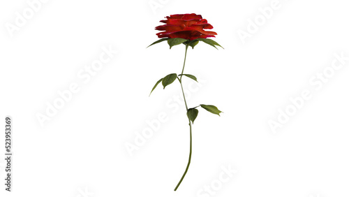 Fototapeta Naklejka Na Ścianę i Meble -  3D Roses