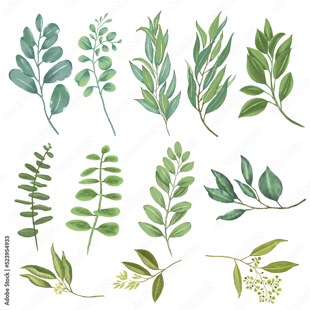 set of green leaves set of flowers Set of watercolor leaves and branches lovely design elements.