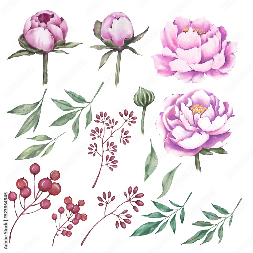 set of pink flowers set of flowers Set of watercolor leaves and branches lovely design elements.