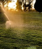 Watering the lawn in the sunset.