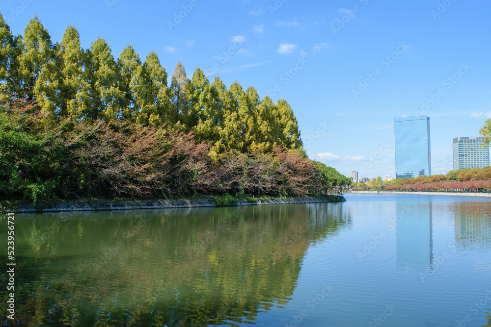 Fototapeta premium 秋の大阪城公園のお堀