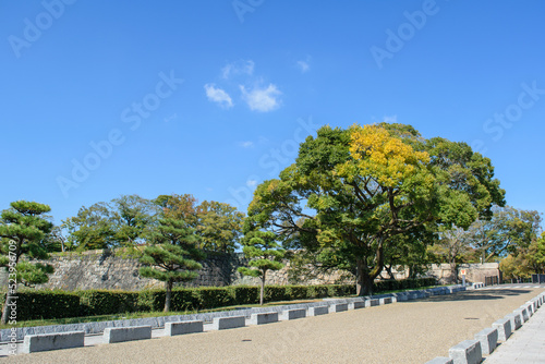 秋の大阪城公園