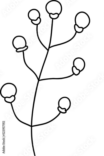 Autumn Holly berries, Autumn or Fall Animal, illustration