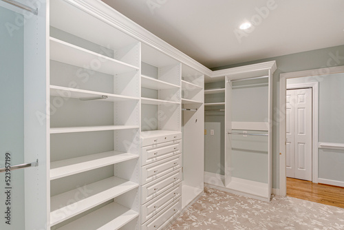 Canvas Print traditional interior modern house white cabinetry closet shelving grey gray neut