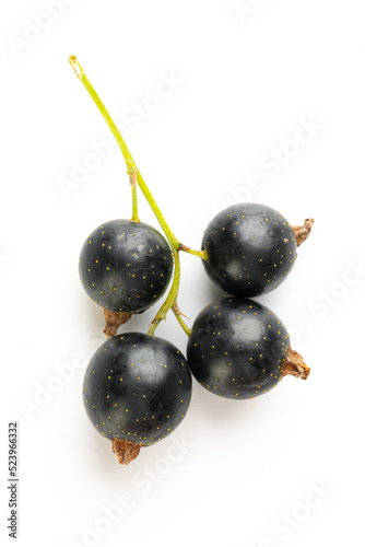 Black currants with leaves isolated on white background with clipping path