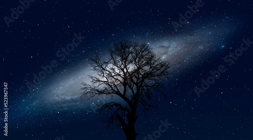 Lone dead tree with amazing Andromeda Galaxy at sunset "Elements of this image furnished by NASA "