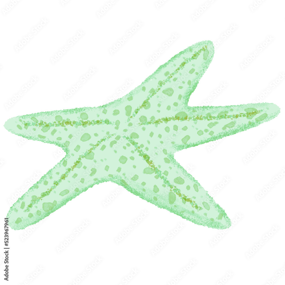 Starfish Watercolor Starfish Watercolor