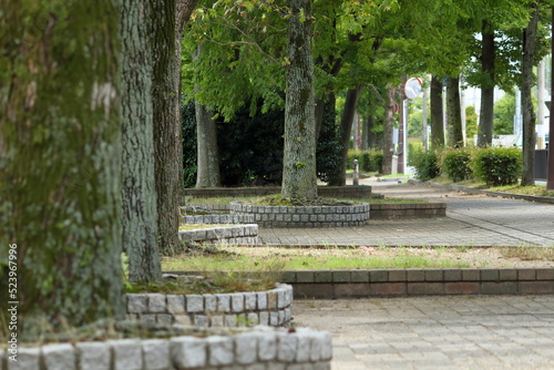 琵琶湖岸の公園の風景