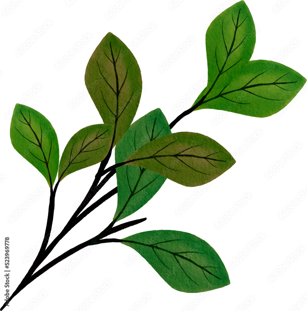 watercolour green leaf watercolour green leaf