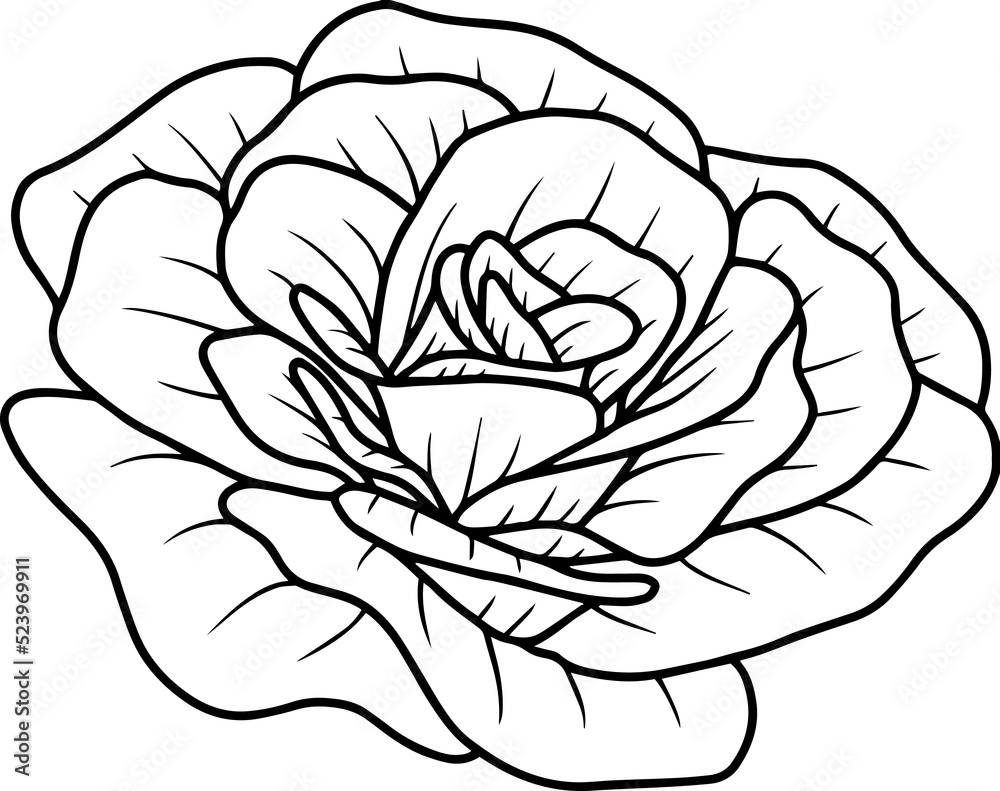 Hand Drawn Flower Sketch Line Art
Hand Drawn Flower Sketch Line Art