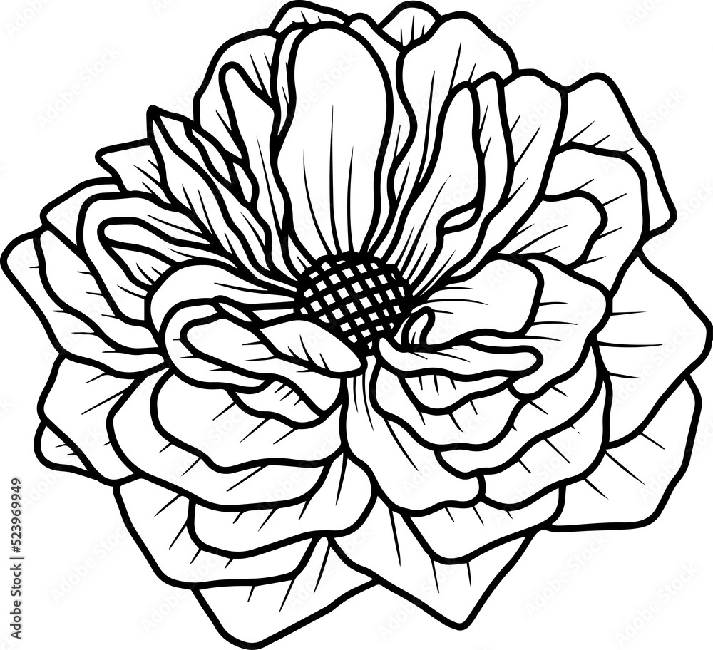 Hand Drawn Rose Flower Illustration
Hand Drawn Rose Flower Illustration