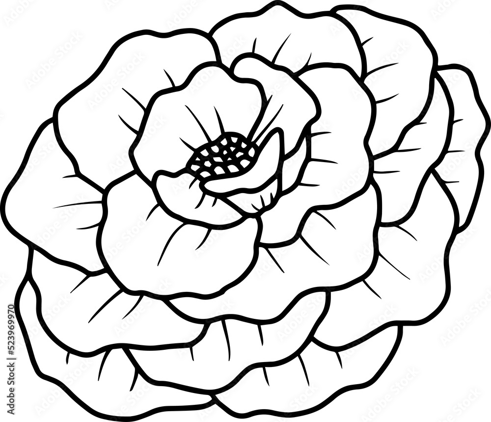 Hand Drawn Rose Flower Illustration
Hand Drawn Rose Flower Illustration