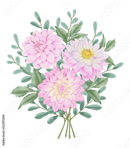 Pink flowers watercolor dahlia illustration. pink dahlia isolated on white background.