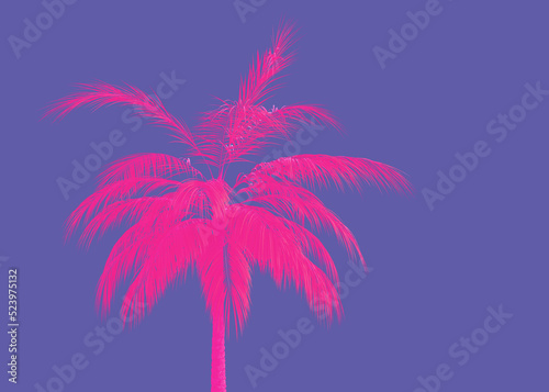 3D Pink palm tree