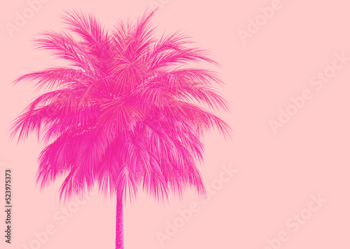 3D Pink palm tree