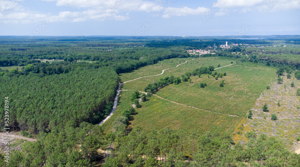 Forêt des Landes, France, vue aérienne