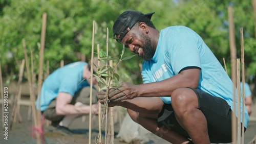 African American men volunteer helpers planting trees in mangrove forest for environmental protection and ecology, reduce global warming. photo
