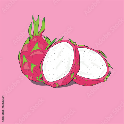 illustration of dragon fruit, illustration of dragon fruit for public use or kids book