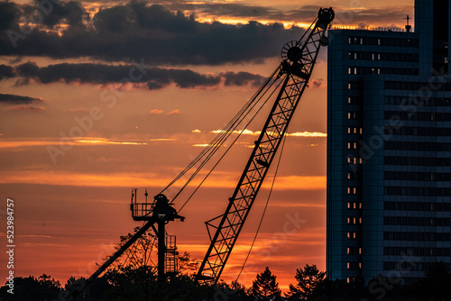 crane at sunrise
