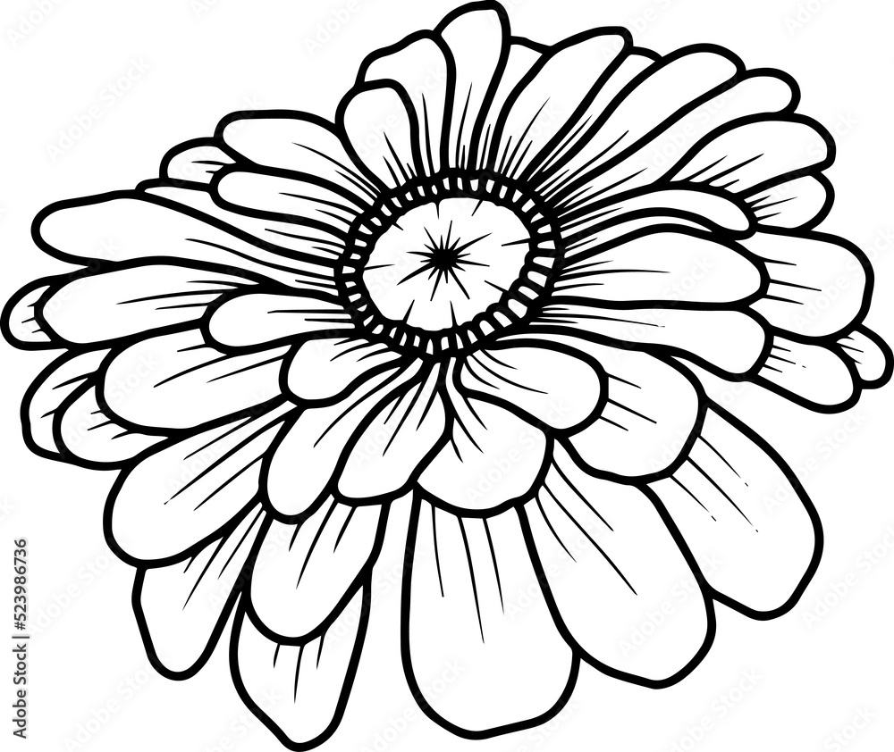 Hand Drawn Margot Illustration
Hand Drawn Margot Illustration
