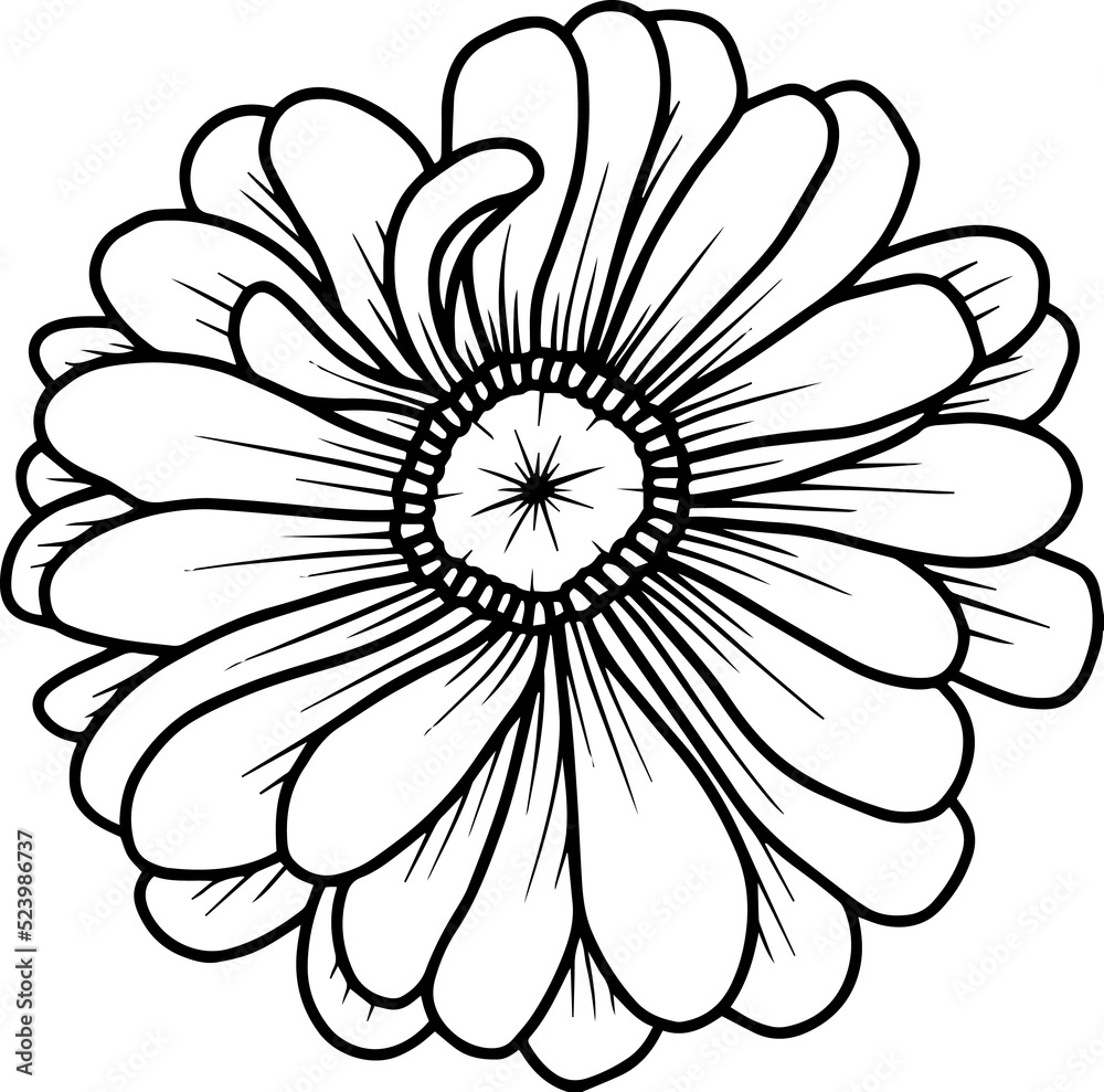 Hand Drawn Margot Illustration
Hand Drawn Margot Illustration