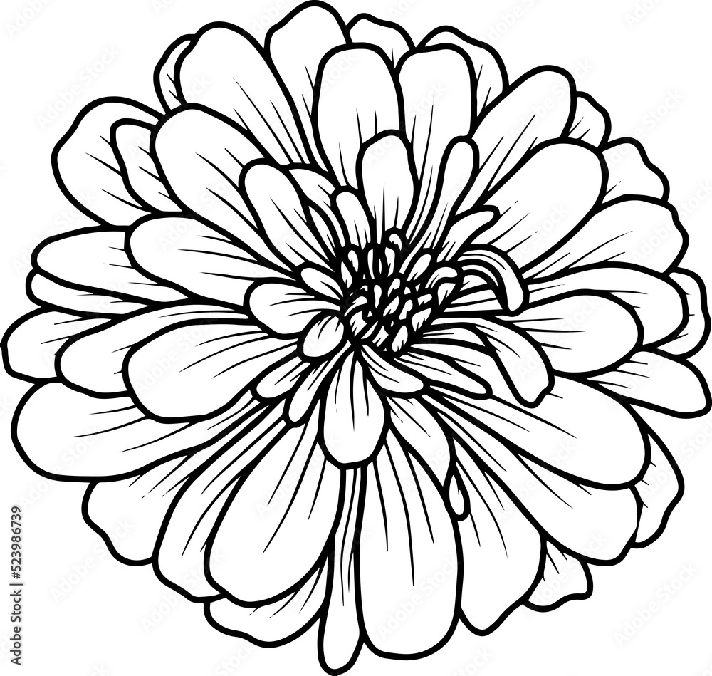 Hand Drawn Flower Sketch Line Art
