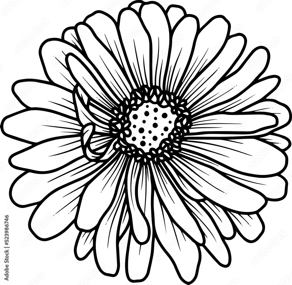 Hand Drawn Margot Illustration
Hand Drawn Margot Illustration