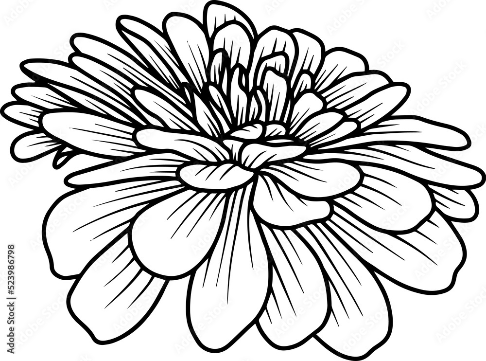 Hand Drawn Margot Sketch Line Art
Hand Drawn Margot Sketch Line Art