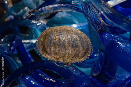 Close shot of jellyfish in the middle of gold and blue tone glass abstract maritime sculptures at the Seattle Center, Seattle, USA