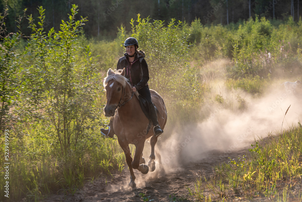 Woman horseback riding in forest parth Woman horseback riding in forest parth