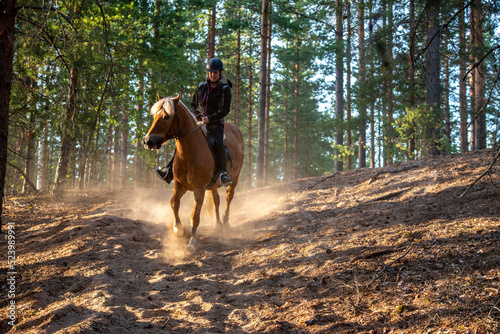 Woman horseback riding in forest parth