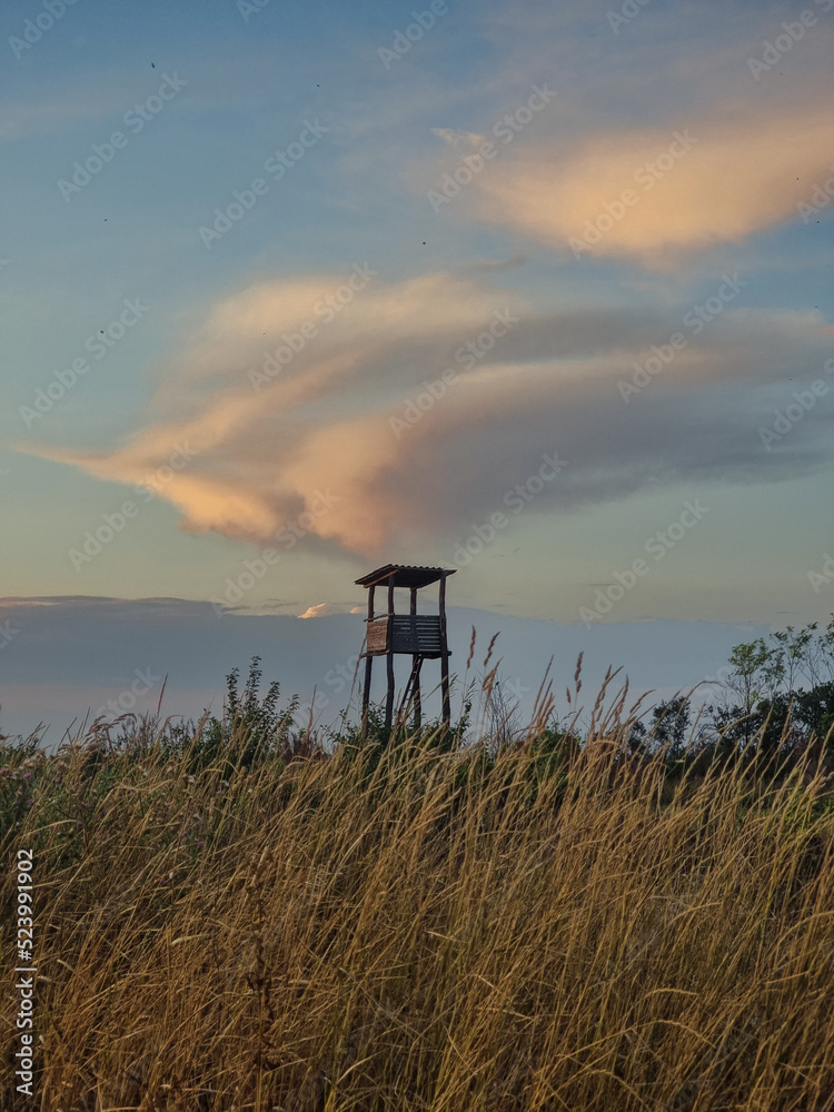 Hunting cabine in orange autumn nature, warm sunset light Hunting cabine in orange autumn nature, warm sunset light