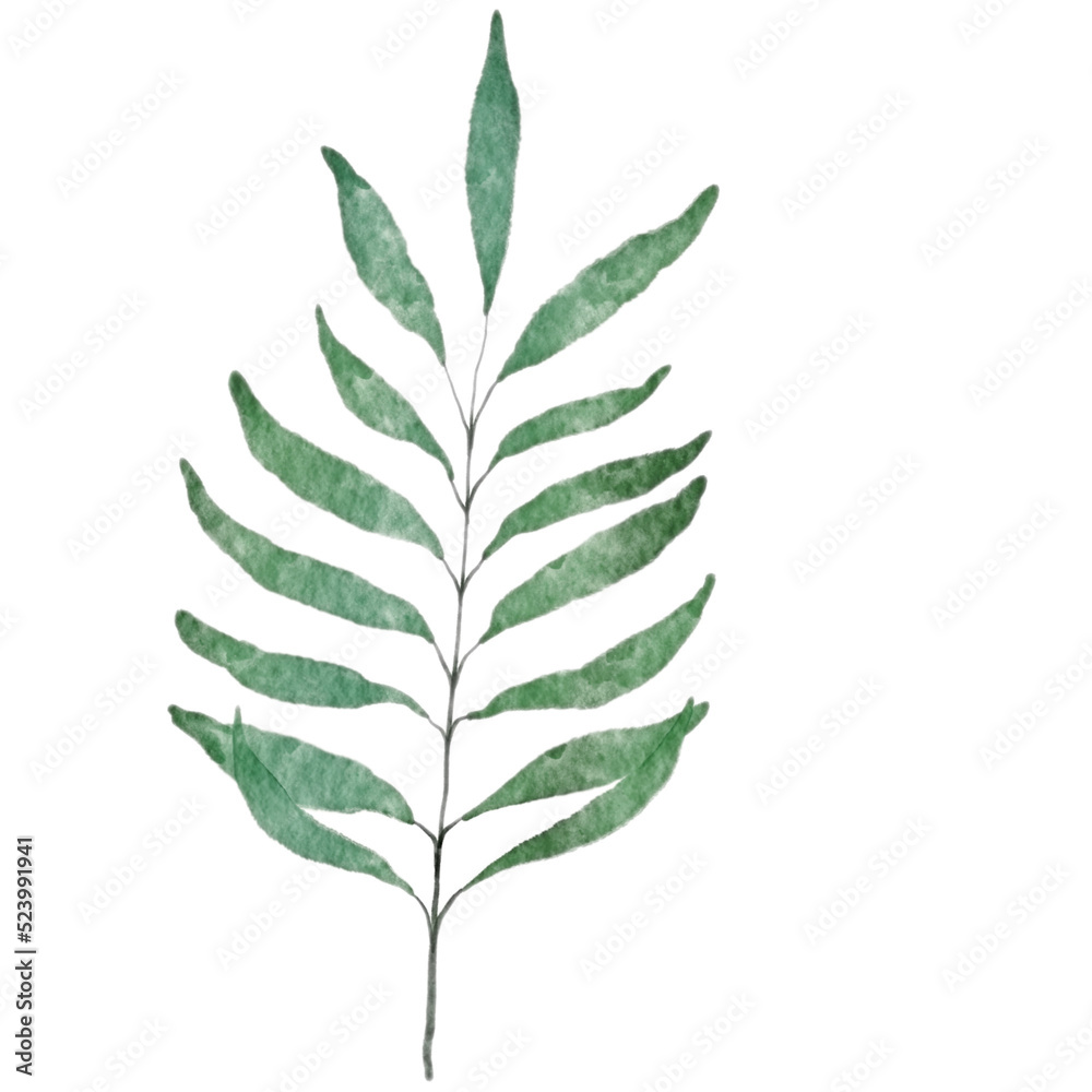 Leaf Watercolor Leaf Watercolor